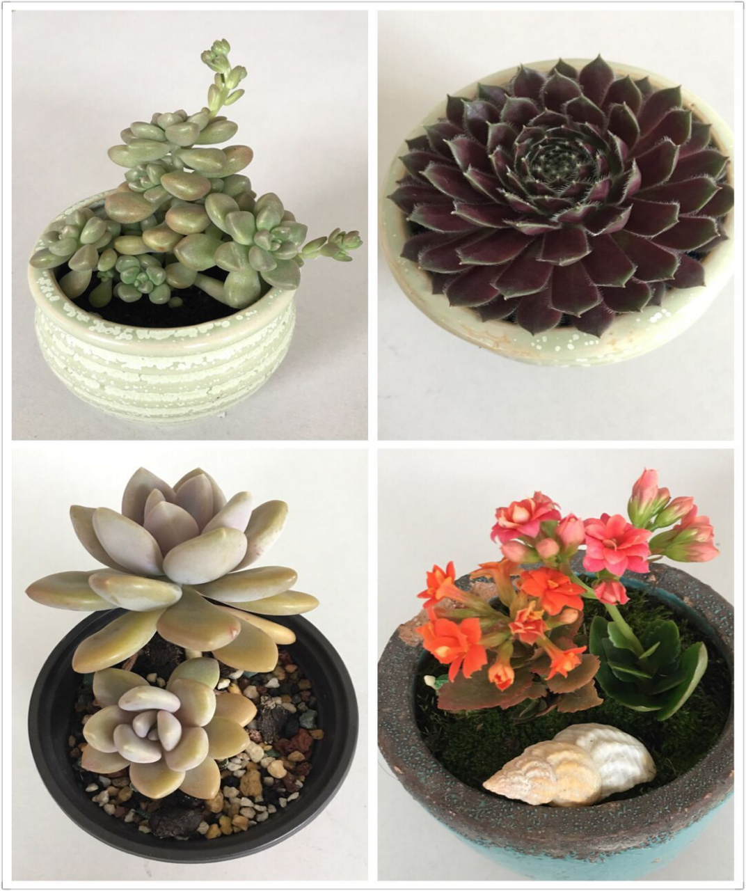 圖片3.png 圖片3.png